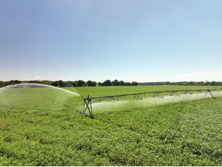 Property photo 1 - LAND AUCTION 588+/- ACRES SIGNIFICANT IRRIGATED FARMLAND OFFERED IN 7 TRACTS OR COMBINATIONS - LAPORTE COUNTY, INDIANA