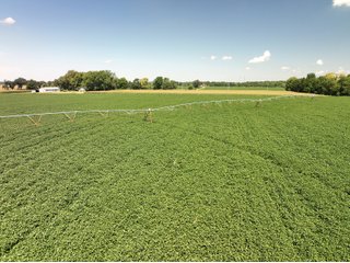 Property photo 4 - LAND AUCTION 588+/- ACRES SIGNIFICANT IRRIGATED FARMLAND OFFERED IN 7 TRACTS OR COMBINATIONS - LAPORTE COUNTY, INDIANA