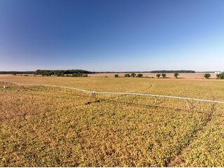 Property photo 7 - LAND AUCTION 588+/- ACRES SIGNIFICANT IRRIGATED FARMLAND OFFERED IN 7 TRACTS OR COMBINATIONS - LAPORTE COUNTY, INDIANA