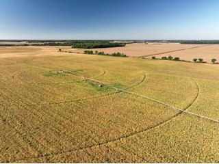 Property photo 8 - LAND AUCTION 588+/- ACRES SIGNIFICANT IRRIGATED FARMLAND OFFERED IN 7 TRACTS OR COMBINATIONS - LAPORTE COUNTY, INDIANA