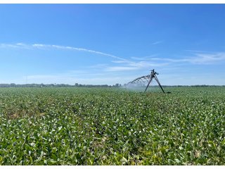 Property photo 9 - LAND AUCTION 588+/- ACRES SIGNIFICANT IRRIGATED FARMLAND OFFERED IN 7 TRACTS OR COMBINATIONS - LAPORTE COUNTY, INDIANA