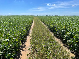 Property photo 10 - LAND AUCTION 588+/- ACRES SIGNIFICANT IRRIGATED FARMLAND OFFERED IN 7 TRACTS OR COMBINATIONS - LAPORTE COUNTY, INDIANA