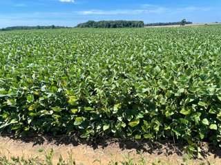 Property photo 11 - LAND AUCTION 588+/- ACRES SIGNIFICANT IRRIGATED FARMLAND OFFERED IN 7 TRACTS OR COMBINATIONS - LAPORTE COUNTY, INDIANA