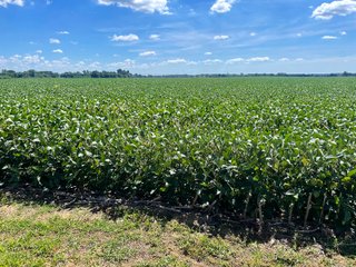 Property photo 12 - LAND AUCTION 588+/- ACRES SIGNIFICANT IRRIGATED FARMLAND OFFERED IN 7 TRACTS OR COMBINATIONS - LAPORTE COUNTY, INDIANA