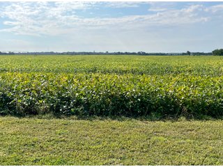 Property photo 18 - LAND AUCTION 588+/- ACRES SIGNIFICANT IRRIGATED FARMLAND OFFERED IN 7 TRACTS OR COMBINATIONS - LAPORTE COUNTY, INDIANA