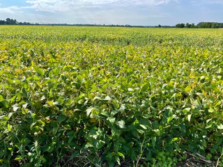 Property photo 20 - LAND AUCTION 588+/- ACRES SIGNIFICANT IRRIGATED FARMLAND OFFERED IN 7 TRACTS OR COMBINATIONS - LAPORTE COUNTY, INDIANA
