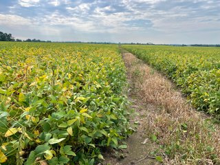 Property photo 27 - LAND AUCTION 588+/- ACRES SIGNIFICANT IRRIGATED FARMLAND OFFERED IN 7 TRACTS OR COMBINATIONS - LAPORTE COUNTY, INDIANA
