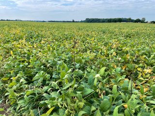 Property photo 28 - LAND AUCTION 588+/- ACRES SIGNIFICANT IRRIGATED FARMLAND OFFERED IN 7 TRACTS OR COMBINATIONS - LAPORTE COUNTY, INDIANA