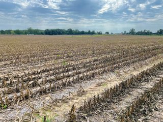 Property photo 30 - LAND AUCTION 588+/- ACRES SIGNIFICANT IRRIGATED FARMLAND OFFERED IN 7 TRACTS OR COMBINATIONS - LAPORTE COUNTY, INDIANA