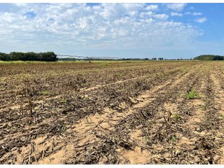Property photo 32 - LAND AUCTION 588+/- ACRES SIGNIFICANT IRRIGATED FARMLAND OFFERED IN 7 TRACTS OR COMBINATIONS - LAPORTE COUNTY, INDIANA