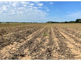 Property photo 33 - LAND AUCTION 588+/- ACRES SIGNIFICANT IRRIGATED FARMLAND OFFERED IN 7 TRACTS OR COMBINATIONS - LAPORTE COUNTY, INDIANA