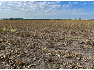 Property photo 42 - LAND AUCTION 588+/- ACRES SIGNIFICANT IRRIGATED FARMLAND OFFERED IN 7 TRACTS OR COMBINATIONS - LAPORTE COUNTY, INDIANA