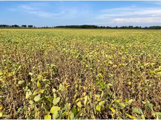 Property photo 43 - LAND AUCTION 588+/- ACRES SIGNIFICANT IRRIGATED FARMLAND OFFERED IN 7 TRACTS OR COMBINATIONS - LAPORTE COUNTY, INDIANA