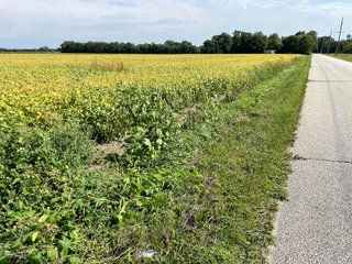 Property photo 44 - LAND AUCTION 588+/- ACRES SIGNIFICANT IRRIGATED FARMLAND OFFERED IN 7 TRACTS OR COMBINATIONS - LAPORTE COUNTY, INDIANA
