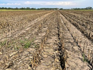 Property photo 48 - LAND AUCTION 588+/- ACRES SIGNIFICANT IRRIGATED FARMLAND OFFERED IN 7 TRACTS OR COMBINATIONS - LAPORTE COUNTY, INDIANA
