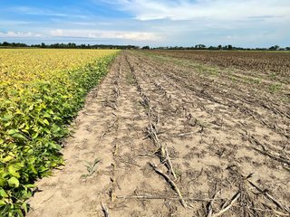 Property photo 49 - LAND AUCTION 588+/- ACRES SIGNIFICANT IRRIGATED FARMLAND OFFERED IN 7 TRACTS OR COMBINATIONS - LAPORTE COUNTY, INDIANA