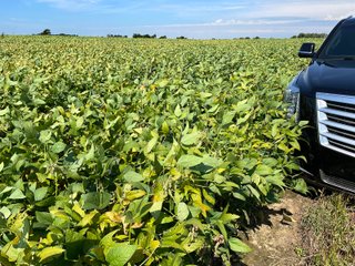 Property photo 51 - LAND AUCTION 588+/- ACRES SIGNIFICANT IRRIGATED FARMLAND OFFERED IN 7 TRACTS OR COMBINATIONS - LAPORTE COUNTY, INDIANA