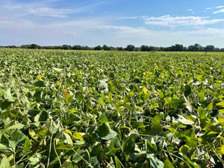 Property photo 52 - LAND AUCTION 588+/- ACRES SIGNIFICANT IRRIGATED FARMLAND OFFERED IN 7 TRACTS OR COMBINATIONS - LAPORTE COUNTY, INDIANA