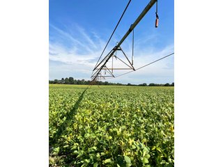 Property photo 54 - LAND AUCTION 588+/- ACRES SIGNIFICANT IRRIGATED FARMLAND OFFERED IN 7 TRACTS OR COMBINATIONS - LAPORTE COUNTY, INDIANA