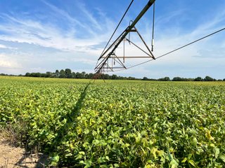 Property photo 55 - LAND AUCTION 588+/- ACRES SIGNIFICANT IRRIGATED FARMLAND OFFERED IN 7 TRACTS OR COMBINATIONS - LAPORTE COUNTY, INDIANA