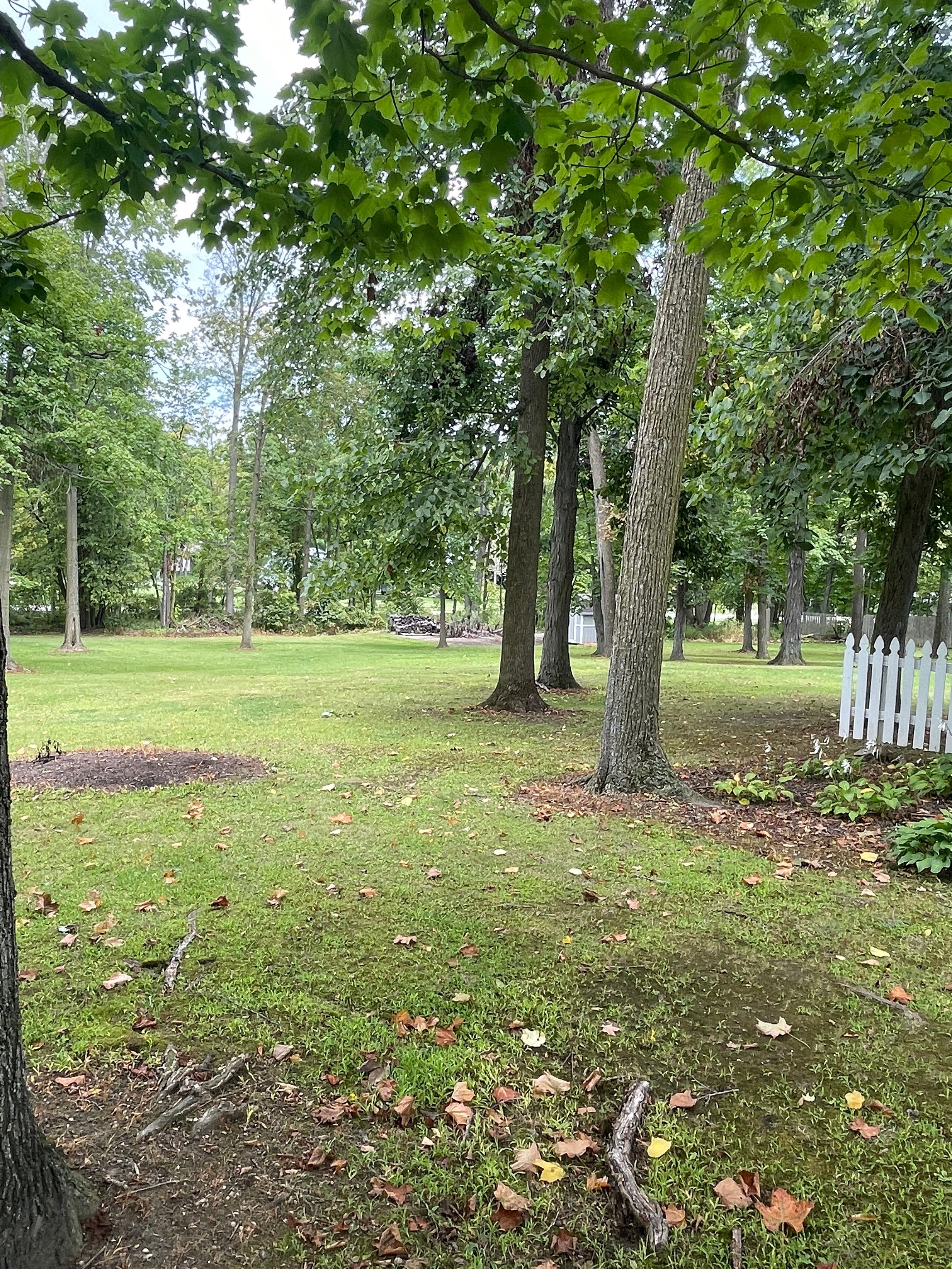 Property photo 8 - **UPDATED**REAL ESTATE AUCTION 1.2+/- ACRES OFFERED IN 1 TRACT IN WHITLEY COUNTY, INDIANA