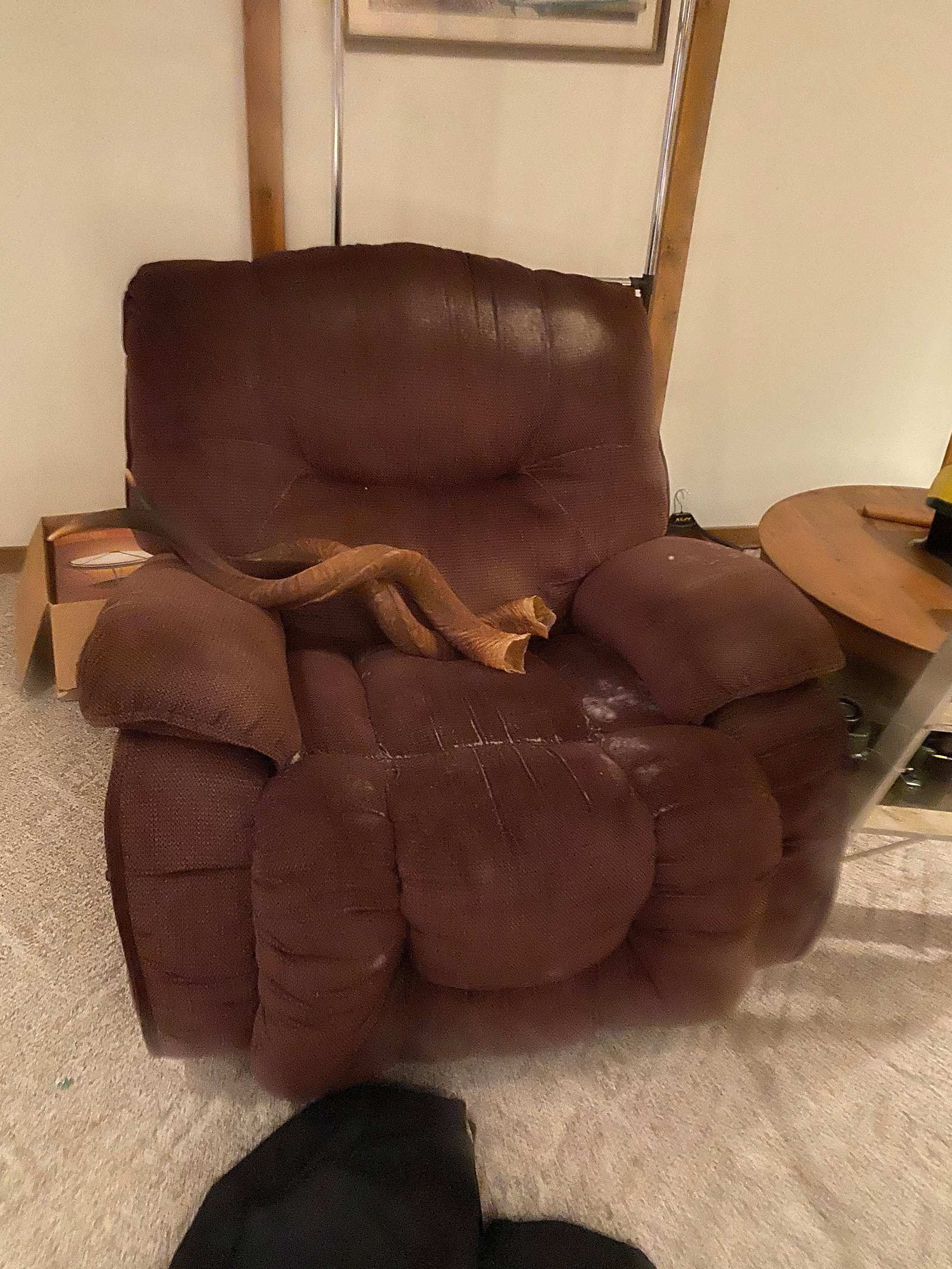 Property photo 8 - TIMED ONLINE ONLY AUCTION PERSONAL PROPERTY - HILLSDALE COUNTY, MICHIGAN