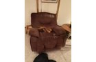 Property photo 8 - TIMED ONLINE ONLY AUCTION PERSONAL PROPERTY - HILLSDALE COUNTY, MICHIGAN