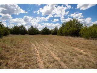 Property photo 5 - LAND AUCTION - 20+/- ACRES OFFERED IN 3 TRACTS IN PAYNE COUNTY, OKLAHOMA