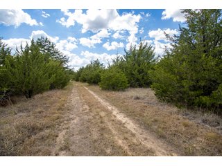 Property photo 6 - LAND AUCTION - 20+/- ACRES OFFERED IN 3 TRACTS IN PAYNE COUNTY, OKLAHOMA