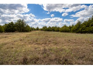 Property photo 8 - LAND AUCTION - 20+/- ACRES OFFERED IN 3 TRACTS IN PAYNE COUNTY, OKLAHOMA