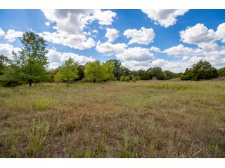 Property photo 11 - LAND AUCTION - 20+/- ACRES OFFERED IN 3 TRACTS IN PAYNE COUNTY, OKLAHOMA