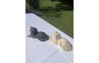 Property photo 16 - TIMED ONLINE ONLY PERSONAL PROPERTY AUCTION - ALLEN COUNTY, INDIANA