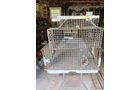 Property photo 279 - TIMED ONLINE ONLY PERSONAL PROPERTY AUCTION - ALLEN COUNTY, INDIANA