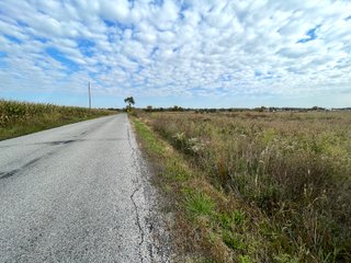 Property photo 55 - REAL ESTATE AUCTION 120 +/- ACRES OFFERED IN 4 TRACTS - DEKALB COUNTY, INDIANA