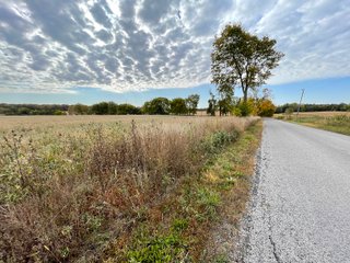 Property photo 54 - REAL ESTATE AUCTION 120 +/- ACRES OFFERED IN 4 TRACTS - DEKALB COUNTY, INDIANA