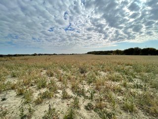 Property photo 53 - REAL ESTATE AUCTION 120 +/- ACRES OFFERED IN 4 TRACTS - DEKALB COUNTY, INDIANA