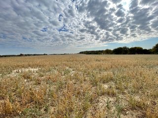 Property photo 52 - REAL ESTATE AUCTION 120 +/- ACRES OFFERED IN 4 TRACTS - DEKALB COUNTY, INDIANA