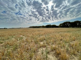 Property photo 51 - REAL ESTATE AUCTION 120 +/- ACRES OFFERED IN 4 TRACTS - DEKALB COUNTY, INDIANA