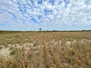 Property photo 50 - REAL ESTATE AUCTION 120 +/- ACRES OFFERED IN 4 TRACTS - DEKALB COUNTY, INDIANA