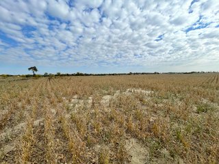 Property photo 49 - REAL ESTATE AUCTION 120 +/- ACRES OFFERED IN 4 TRACTS - DEKALB COUNTY, INDIANA