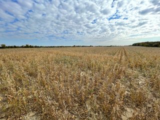 Property photo 48 - REAL ESTATE AUCTION 120 +/- ACRES OFFERED IN 4 TRACTS - DEKALB COUNTY, INDIANA