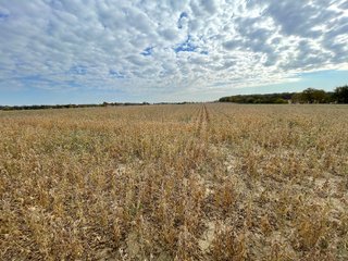 Property photo 47 - REAL ESTATE AUCTION 120 +/- ACRES OFFERED IN 4 TRACTS - DEKALB COUNTY, INDIANA