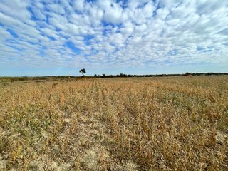 Property photo 46 - REAL ESTATE AUCTION 120 +/- ACRES OFFERED IN 4 TRACTS - DEKALB COUNTY, INDIANA