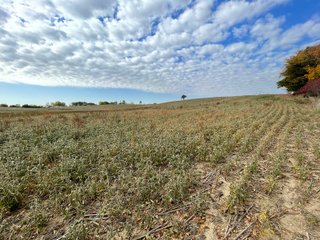 Property photo 45 - REAL ESTATE AUCTION 120 +/- ACRES OFFERED IN 4 TRACTS - DEKALB COUNTY, INDIANA