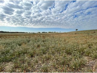 Property photo 44 - REAL ESTATE AUCTION 120 +/- ACRES OFFERED IN 4 TRACTS - DEKALB COUNTY, INDIANA