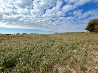 Property photo 43 - REAL ESTATE AUCTION 120 +/- ACRES OFFERED IN 4 TRACTS - DEKALB COUNTY, INDIANA