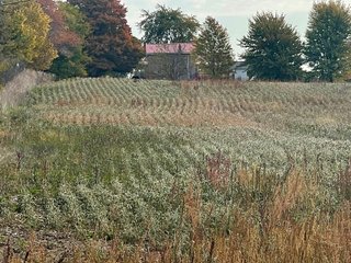 Property photo 42 - REAL ESTATE AUCTION 120 +/- ACRES OFFERED IN 4 TRACTS - DEKALB COUNTY, INDIANA