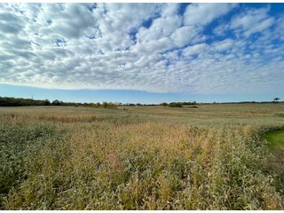 Property photo 41 - REAL ESTATE AUCTION 120 +/- ACRES OFFERED IN 4 TRACTS - DEKALB COUNTY, INDIANA