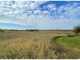Property photo 40 - REAL ESTATE AUCTION 120 +/- ACRES OFFERED IN 4 TRACTS - DEKALB COUNTY, INDIANA