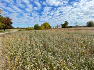 Property photo 39 - REAL ESTATE AUCTION 120 +/- ACRES OFFERED IN 4 TRACTS - DEKALB COUNTY, INDIANA